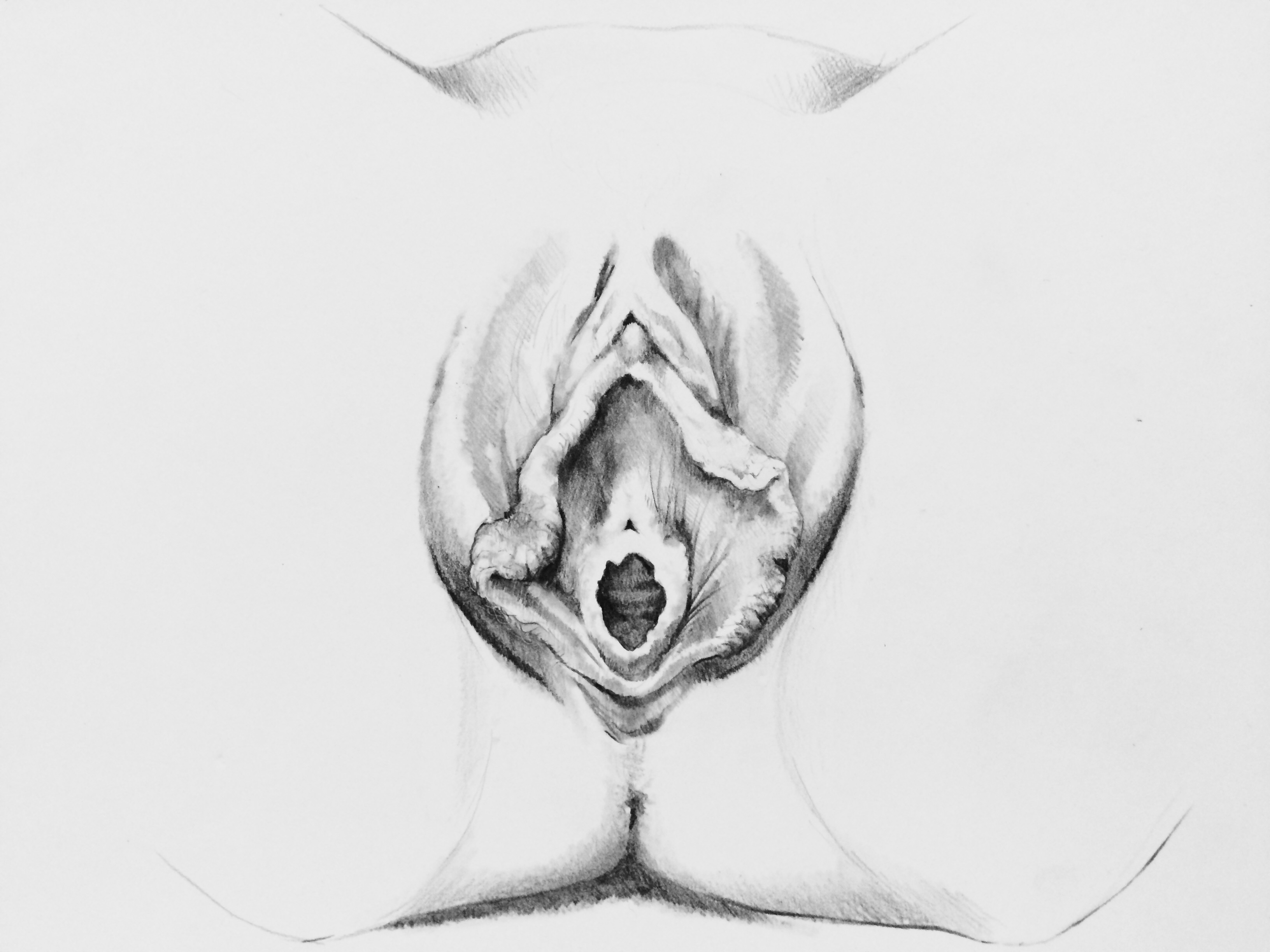 hymen female anatomy